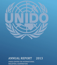 Годовой отчет Центра за 2013 год (англ.)