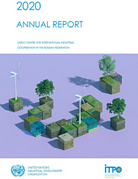 2020 CIIC Annual Report (ENG)