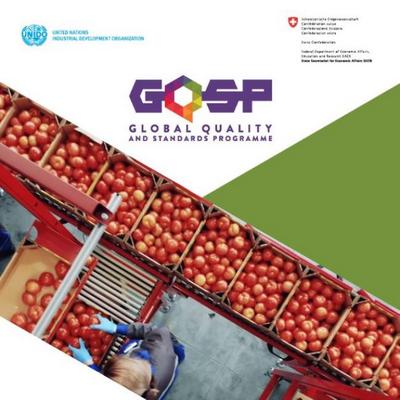 Improving trade, changing lives. The impact of the Global Quality and Standards Programme