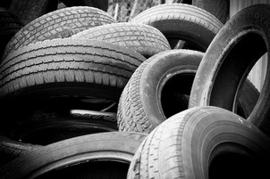 Results of the environmental programme “Tire-2018” announced