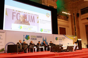 Участники Венского энергетического форума сформулировали ключевые тезисы, отражающие роль энергетики в реализации ЦУР и Парижского климатического соглашения